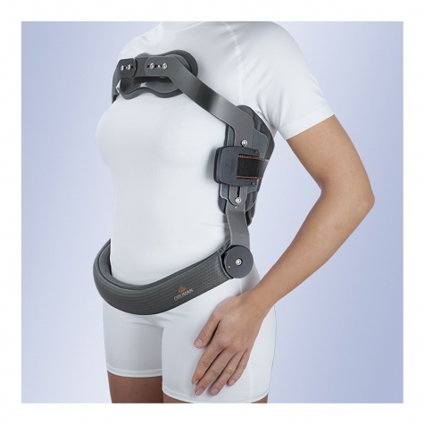 Jewett Sternotech®